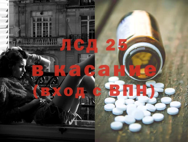 ГАЛЛЮЦИНОГЕННЫЕ ГРИБЫ Аркадак