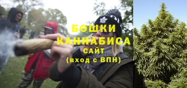 ешки Осинники