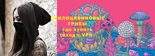 МДПВ Арсеньев
