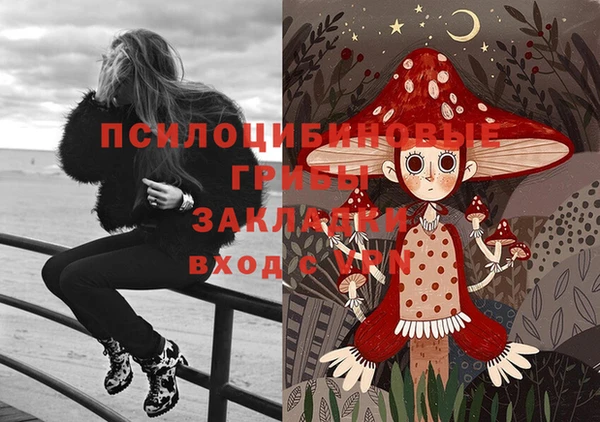 мет Осташков