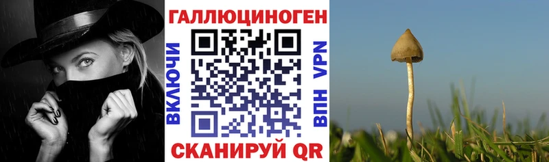 Галлюциногенные грибы мицелий  Великие Луки 